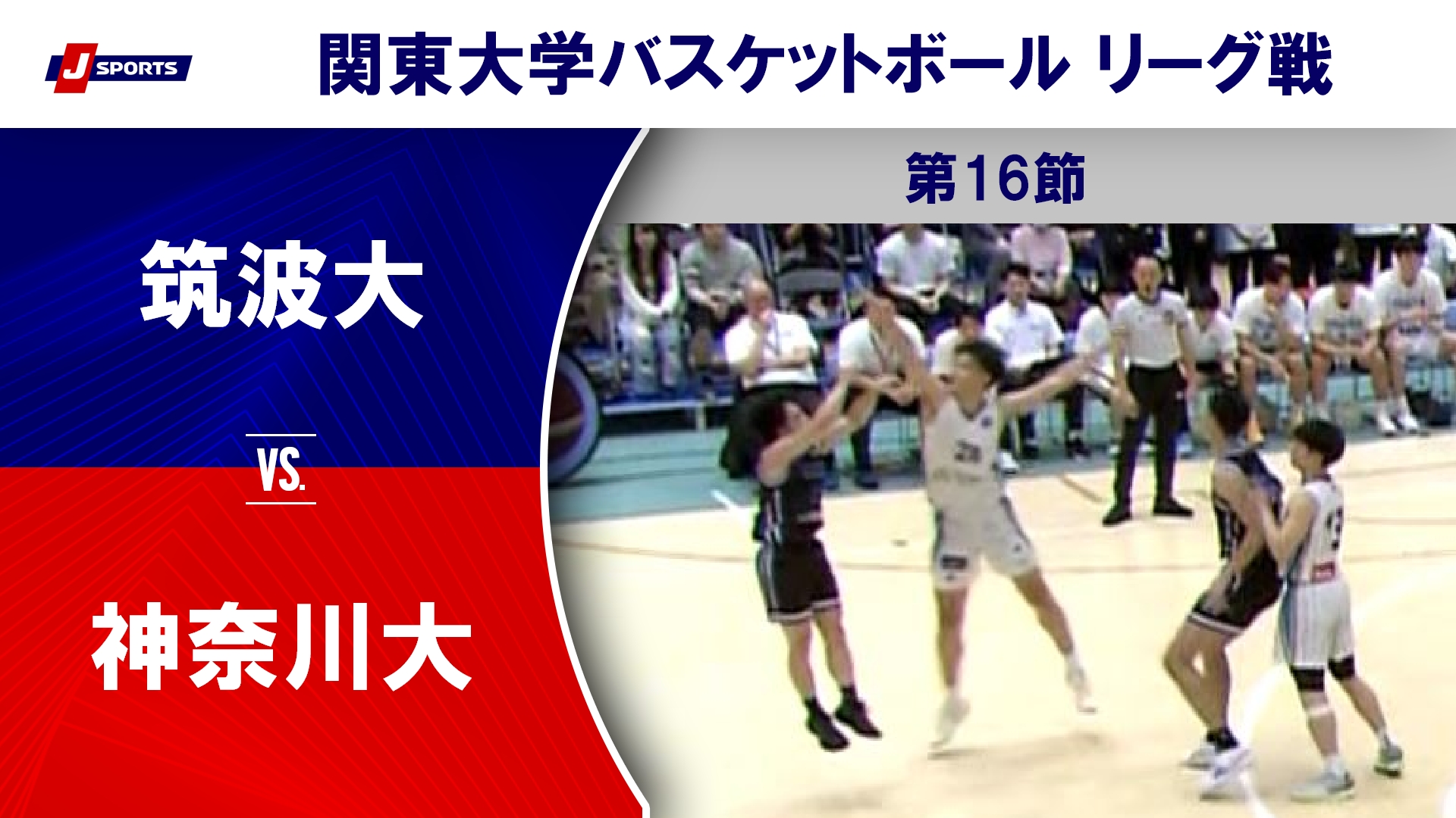 【ハイライト】筑波大 vs. 神奈川大｜第100回 関東大学バスケットボールリーグ戦 第16節 #basketball