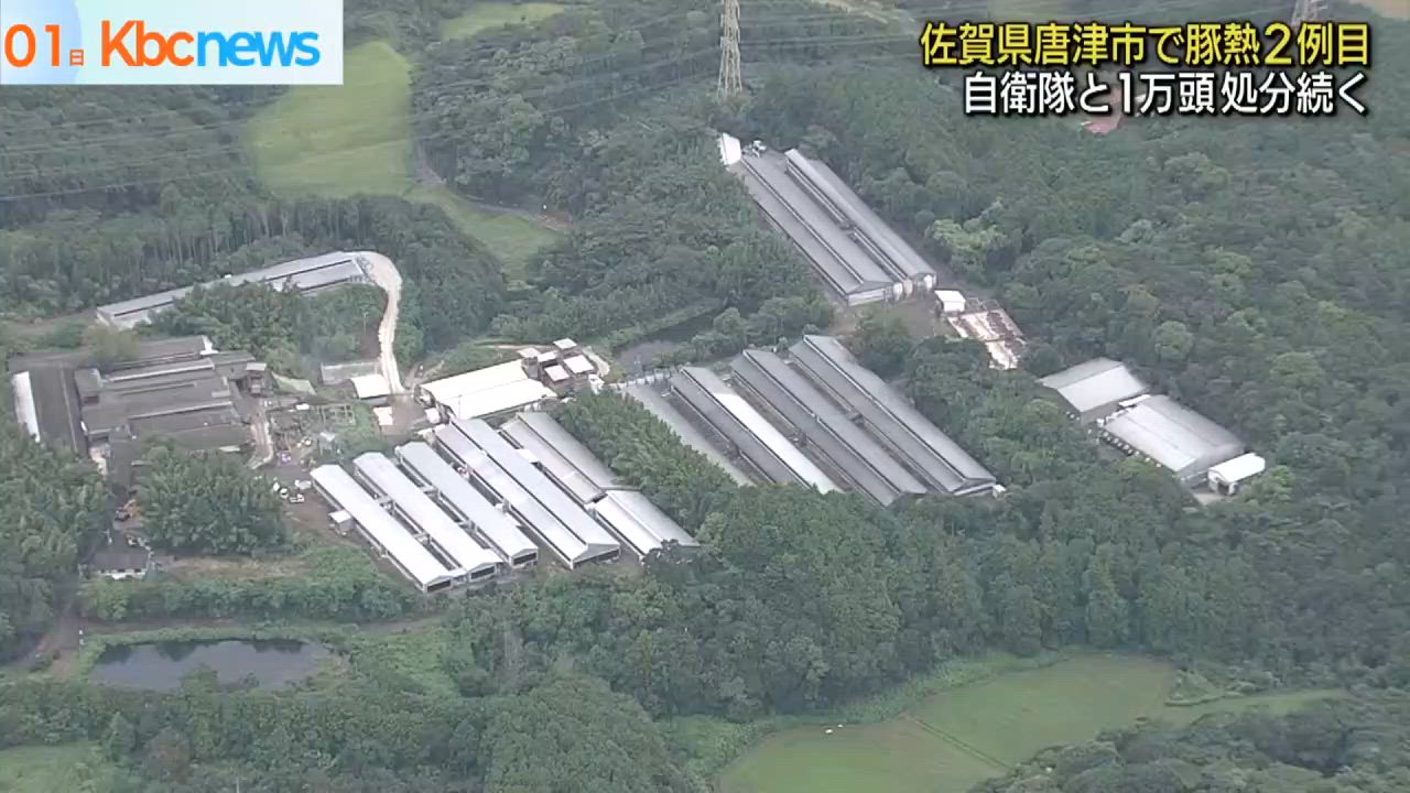 佐賀・養豚場で豚熱　自衛隊と協力１万頭殺処分続く - KBCタイムライン動画 | Yahoo! JAPAN