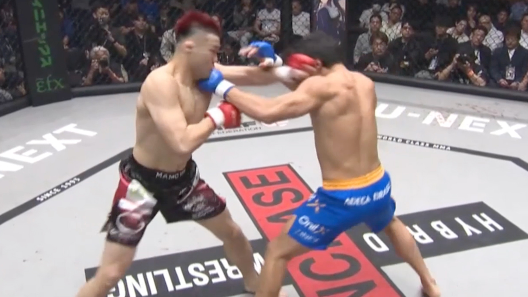 【MMA】1R70秒カウンターのジャブでKO！元ベラトール上位ランカーのゴイチ・ヤマウチが内藤由良に圧倒的勝利｜4.27 PANCRASE353