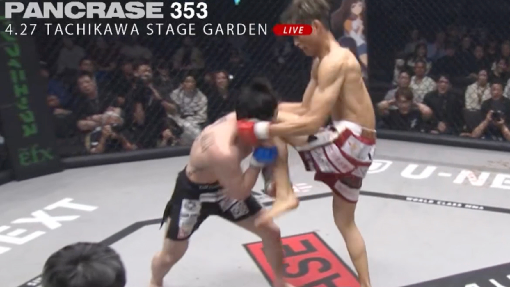 【MMA】雑賀ヤン坊達也が天弥のアゴを左膝で打ち抜き、王座防衛！｜4.27 PANCRASE353 ライト級タイトルマッチ