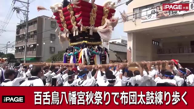 堺 百舌鳥八幡宮秋祭り 巨大なふとん太鼓練り歩く The Page Yahoo ニュース 堺 百舌鳥八幡宮秋祭り 巨大なふとん太鼓練り歩く The Page Yahoo ニュース