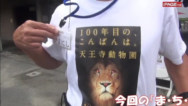天王寺動物園 ナイトzoo へ 夜の動物園ってどんな感じ The Page Yahoo ニュース 天王寺動物園 ナイトzoo へ 夜の動物園ってどんな感じ The Page Yahoo ニュース