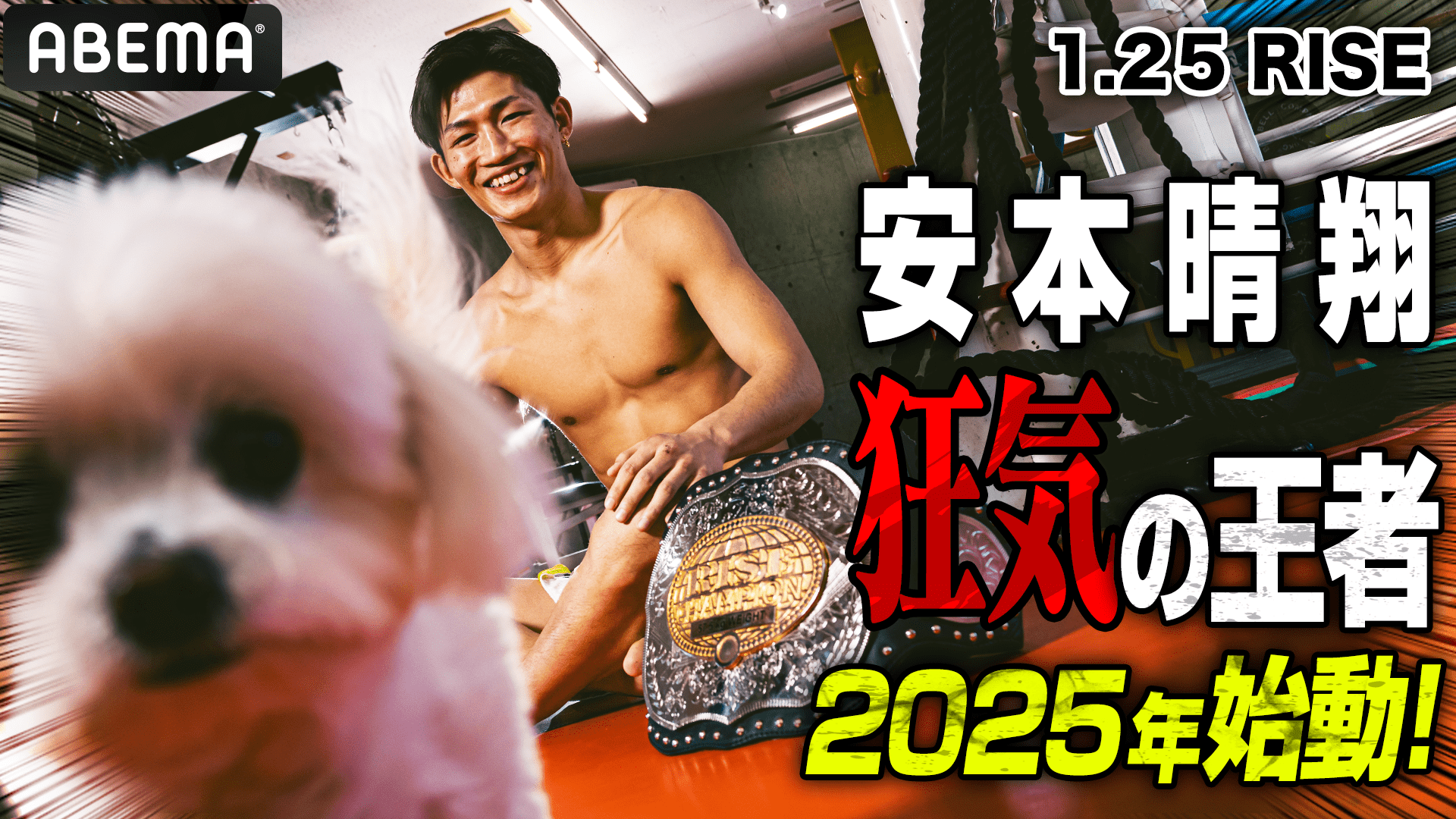 【RISE185トイレラー】もはや狂気！？「新王者」安本晴翔のリングとはまるで違う素顔とは。|1.25 RISE182 ABEMAで無料生中継