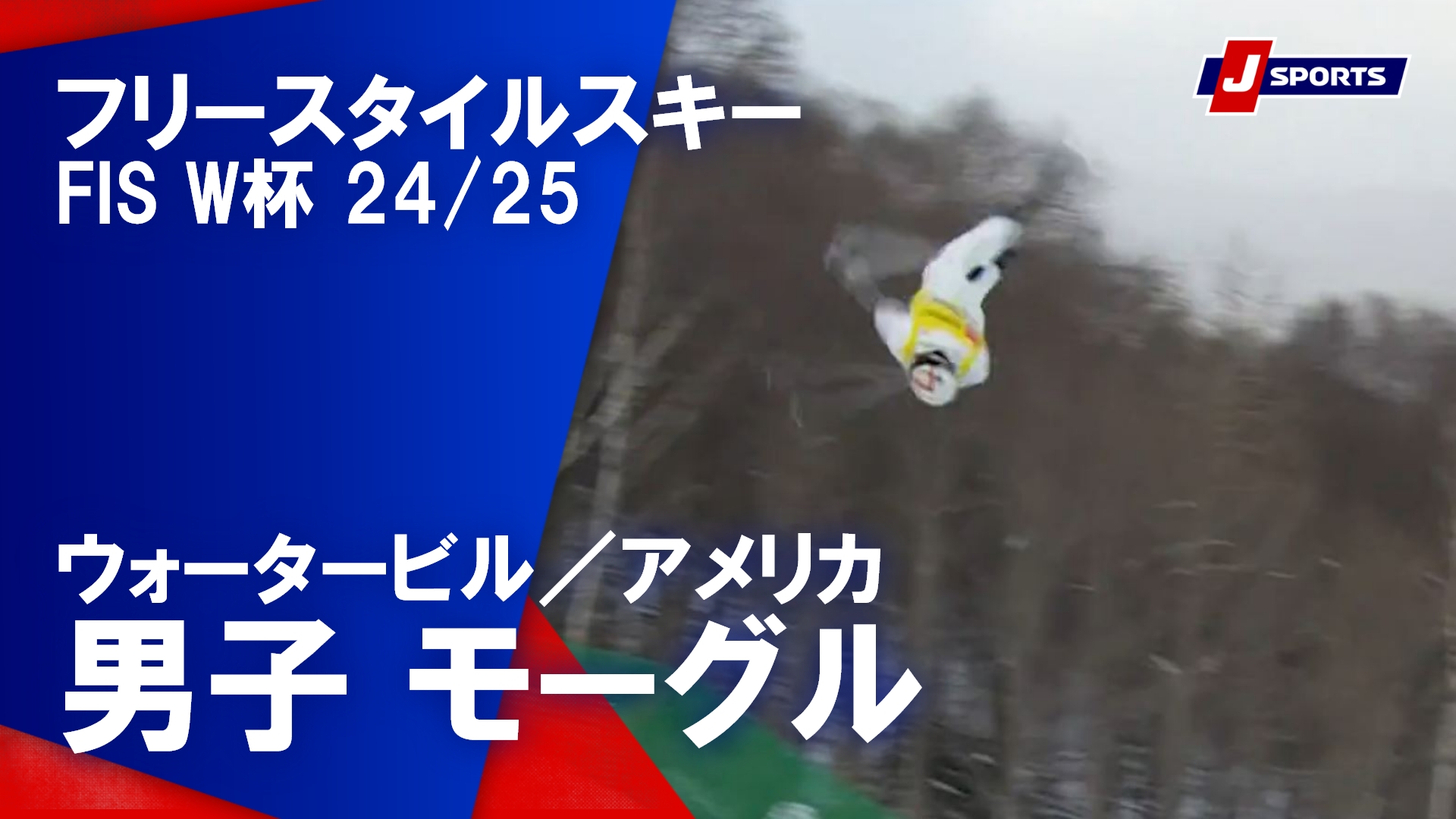 【男子 ハイライト】フリースタイルスキー FIS ワールドカップ 2024/25（1月24日）