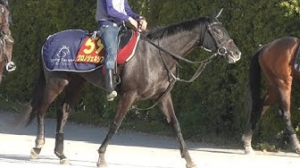 【動画】【オークス