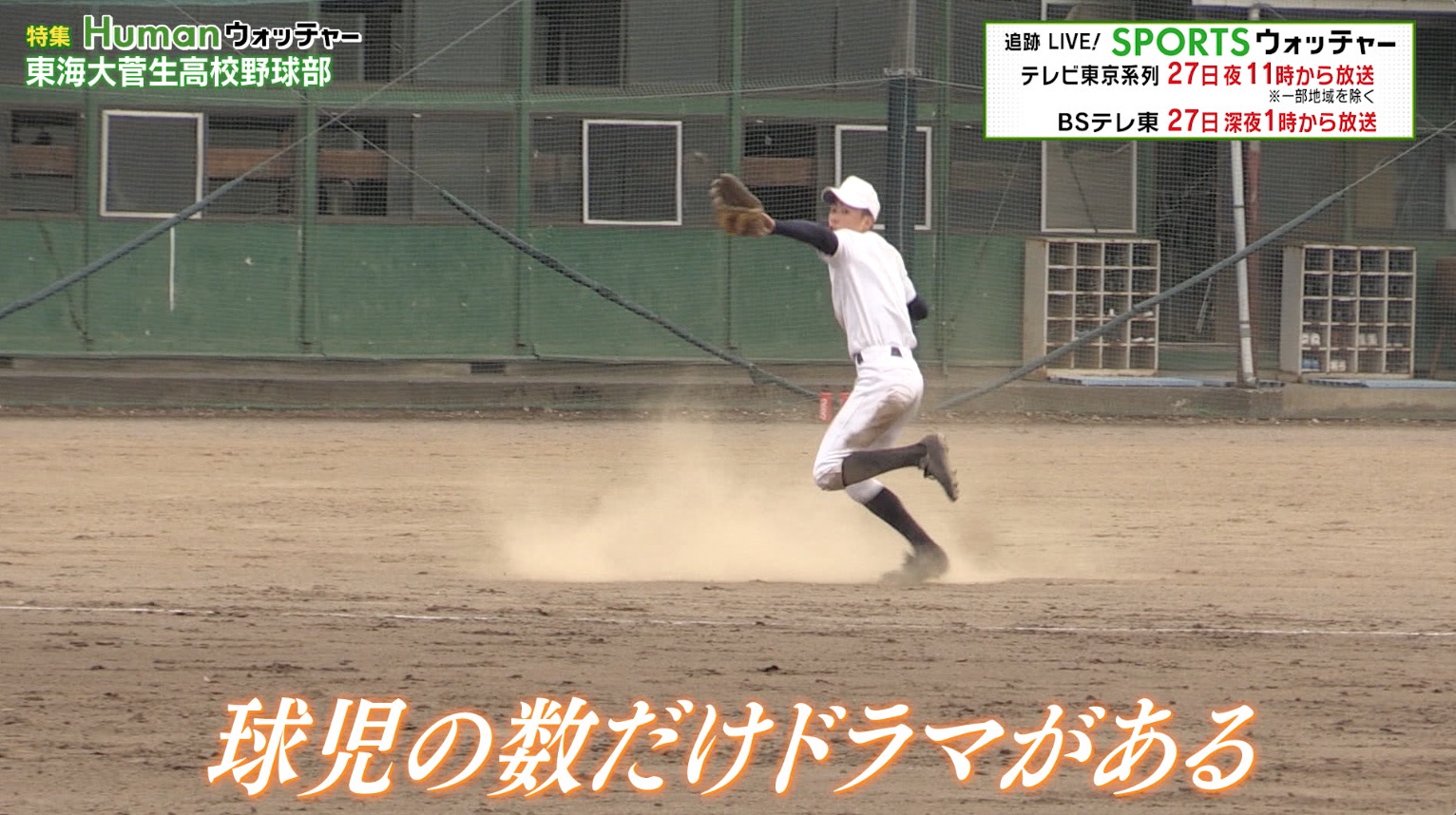 動画 球児の数だけドラマがある 東海大菅生高校野球部に密着 Humanウォッチャー スポーツナビ テレビ東京スポーツ