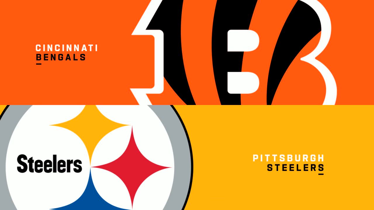 【NFL2025年第11週】AFC北地区の首位スティーラーズと同地区3位ベンガルズが激突