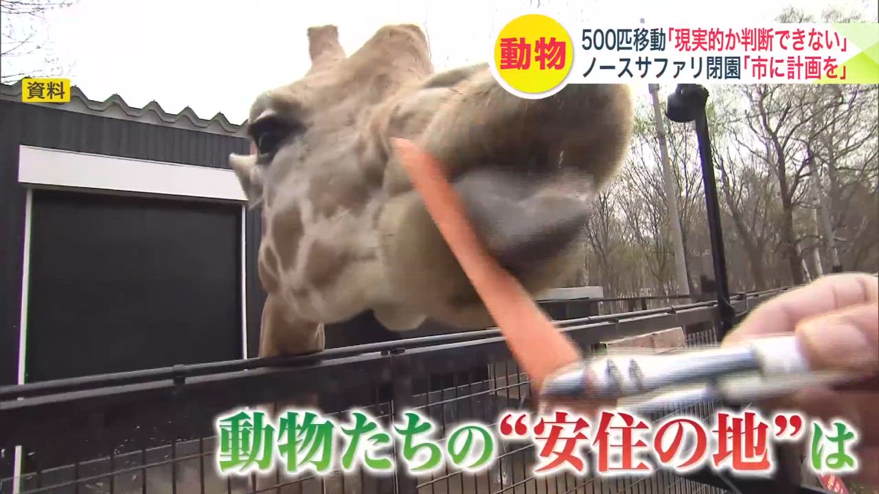 【ノースサファリ】動物たちの運命は？閉園発表するもライオンなど約500匹の受け入れ先の確保は不透明…秋元札幌市長「市には正式な通知ない。事業者として責務を果たしてもらうのが筋。引き続き協議指導したい」 - 北海道ニュースUHB TimeLine | Yahoo! JAPAN