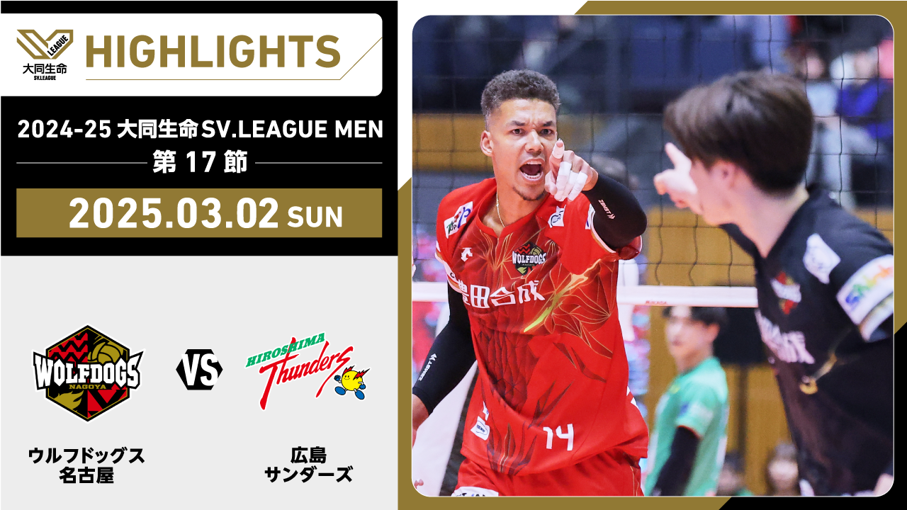 【2025/03/02 ハイライト】2024-25 大同生命SV.LEAGUE MEN 第17節 GAME2  WD名古屋 vs 広島TH